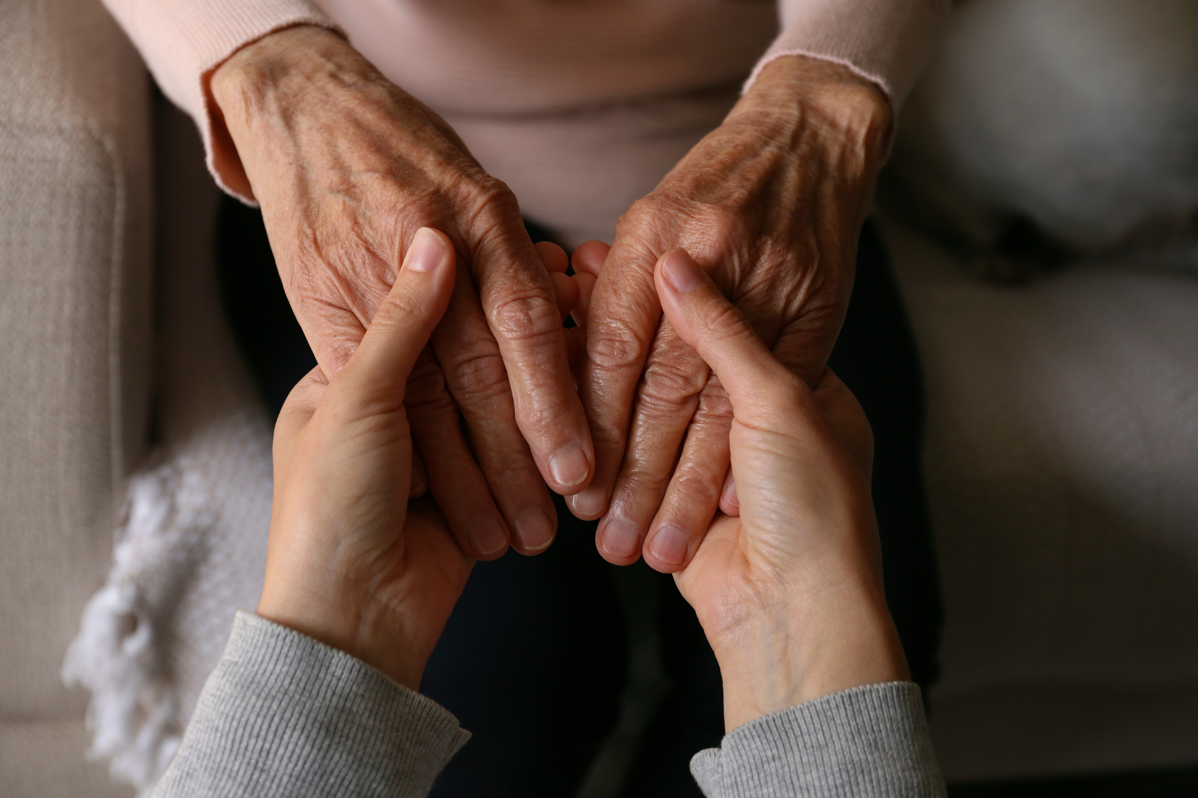 Cuidado y acompañamiento para adultos mayores